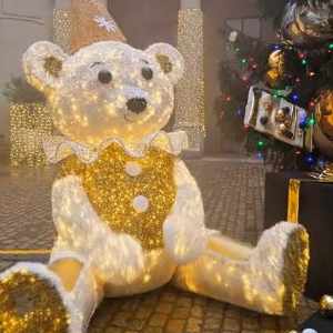 Noël hotel dieu lyon